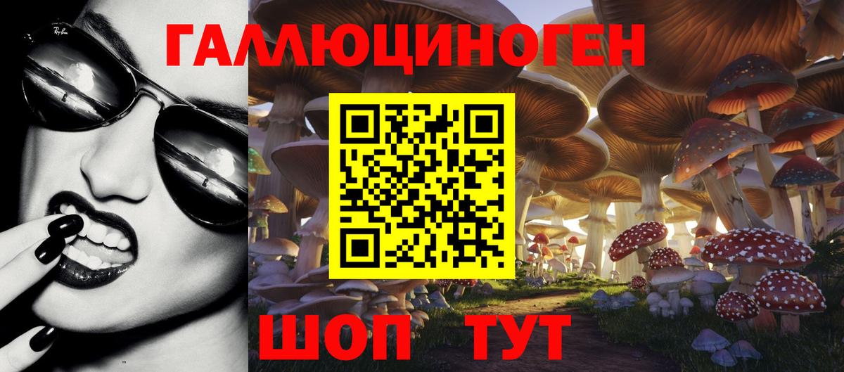 Лсд 25 Алушта